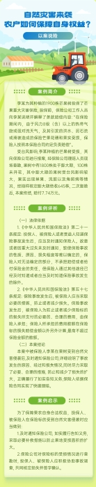 自然災(zāi)害來襲，農(nóng)戶如何保障自身權(quán)益？